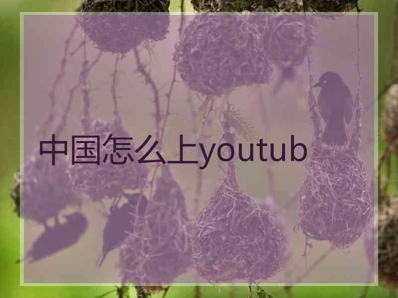 中国怎么上youtub