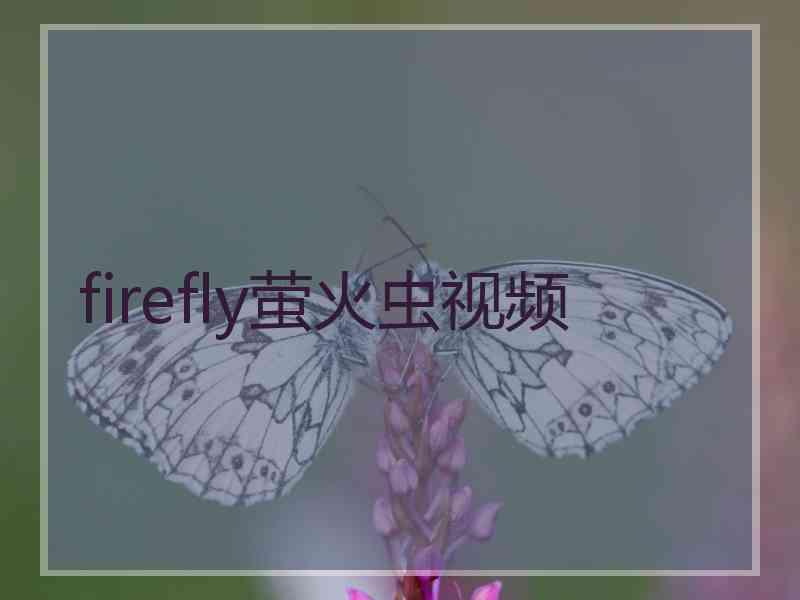 firefly萤火虫视频