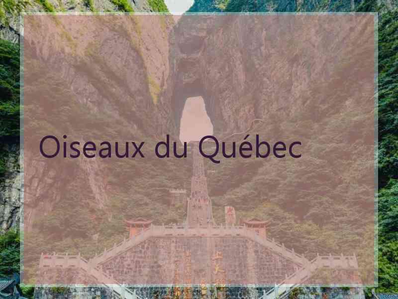 Oiseaux du Québec