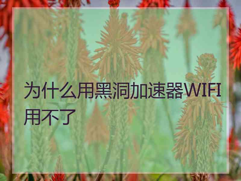 为什么用黑洞加速器WIFI用不了