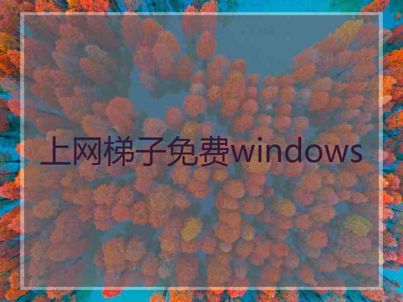 上网梯子免费windows