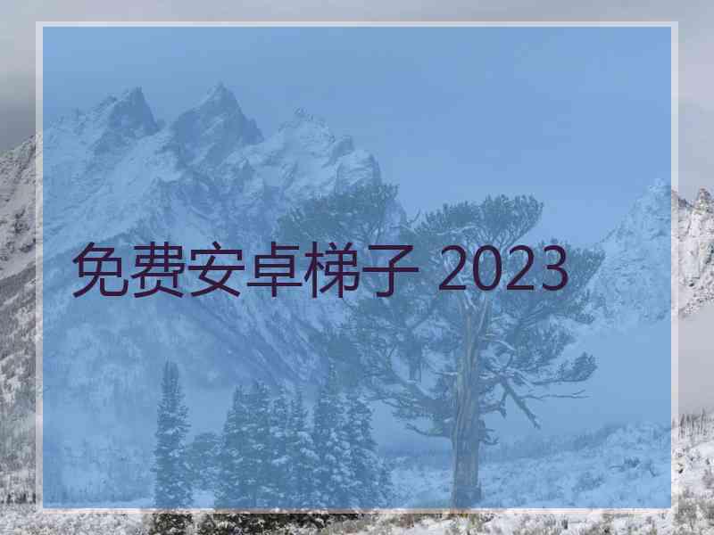 免费安卓梯子 2023