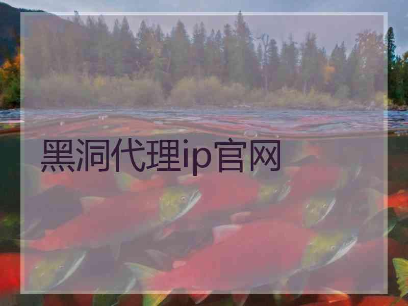 黑洞代理ip官网