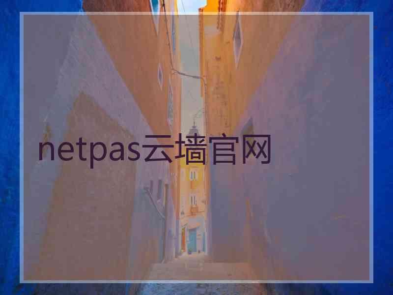 netpas云墙官网