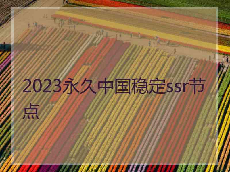 2023永久中国稳定ssr节点