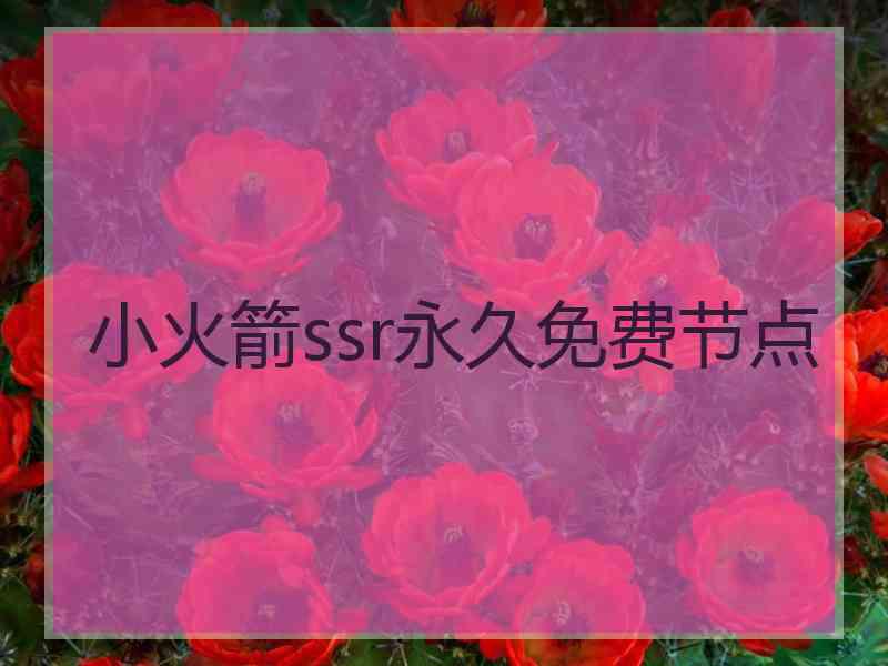 小火箭ssr永久免费节点