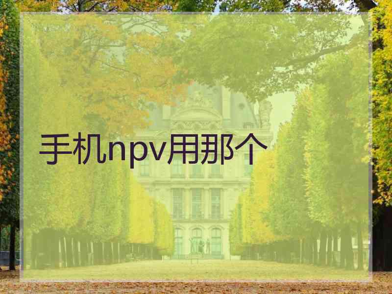 手机npv用那个