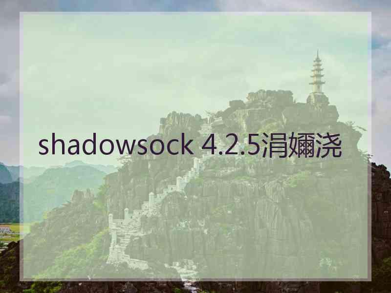 shadowsock 4.2.5涓嬭浇