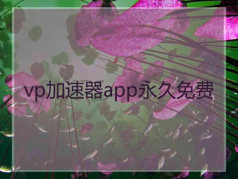 vp加速器app永久免费