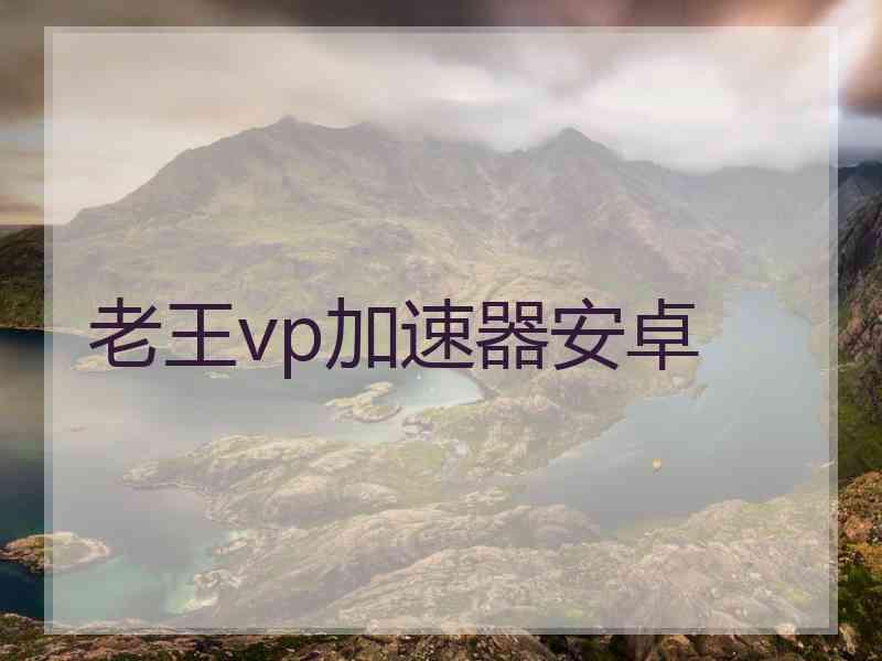 老王vp加速器安卓