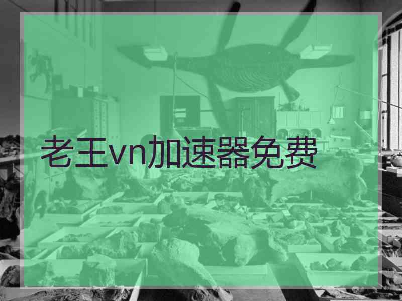 老王vn加速器免费