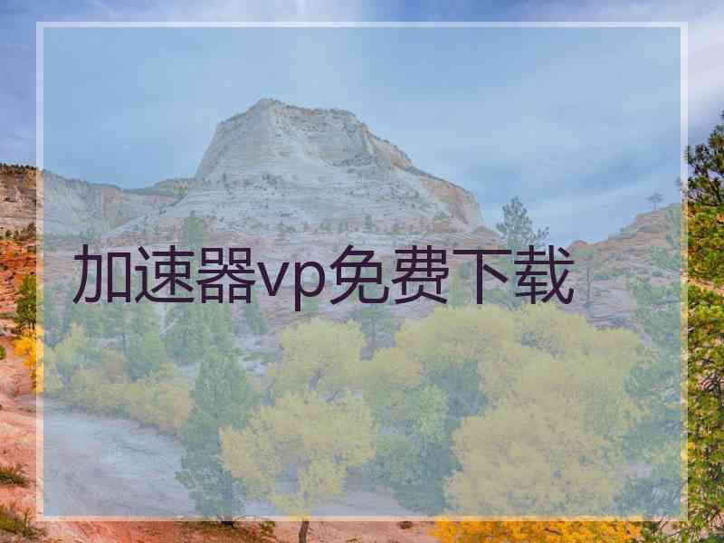 加速器vp免费下载