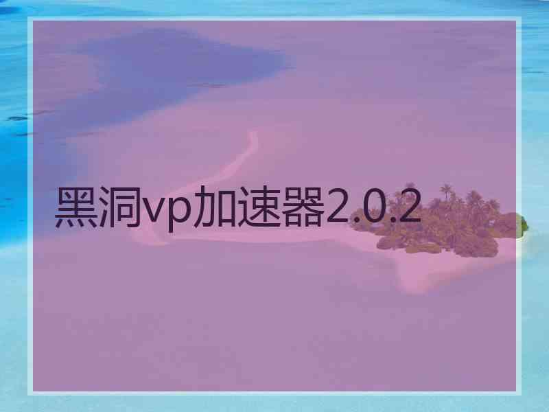 黑洞vp加速器2.0.2