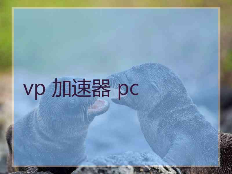 vp 加速器 pc