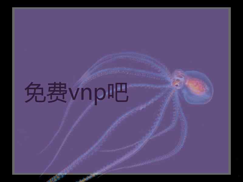 免费vnp吧