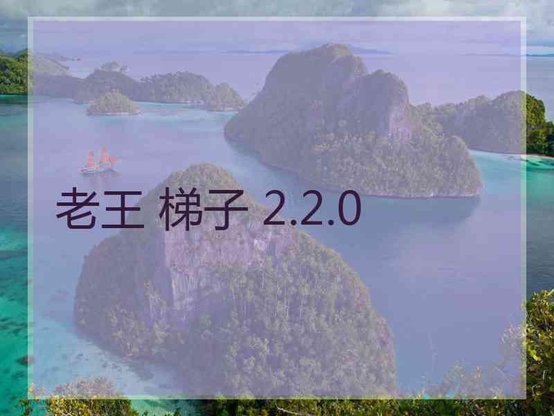 老王 梯子 2.2.0