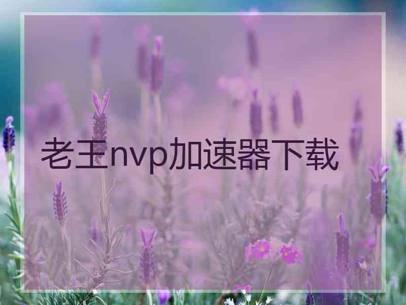 老王nvp加速器下载