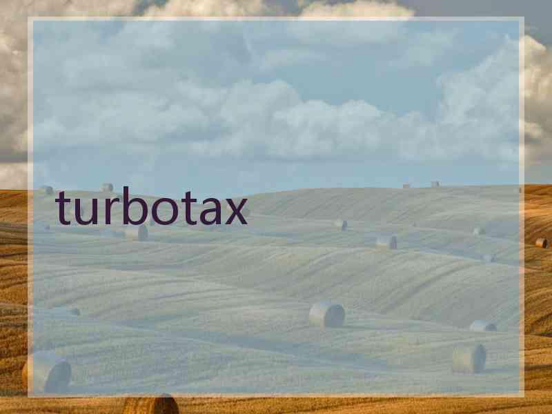 turbotax