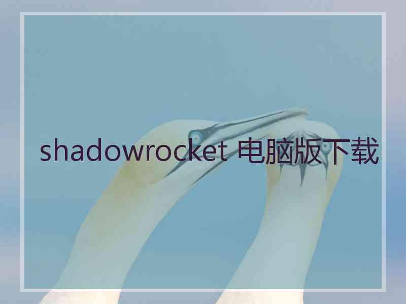 shadowrocket 电脑版下载