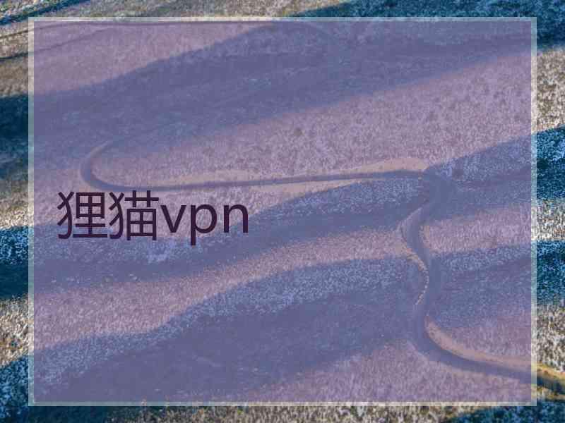 狸猫vpn