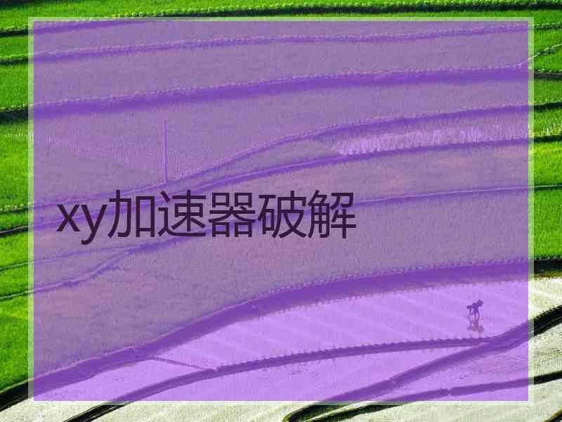 xy加速器破解