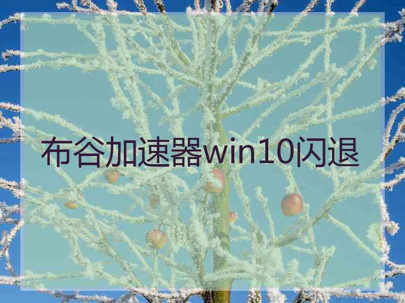 布谷加速器win10闪退