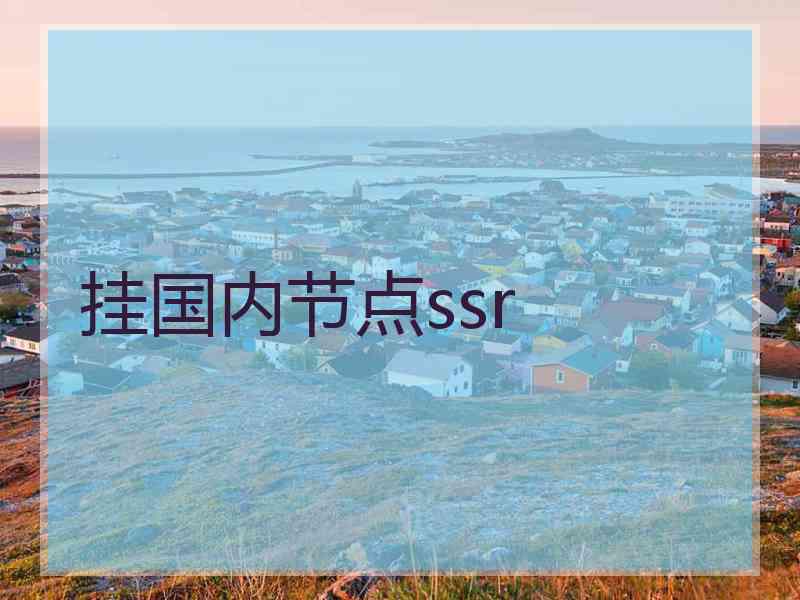 挂国内节点ssr