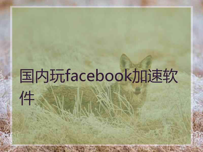 国内玩facebook加速软件