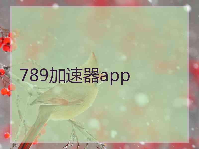 789加速器app