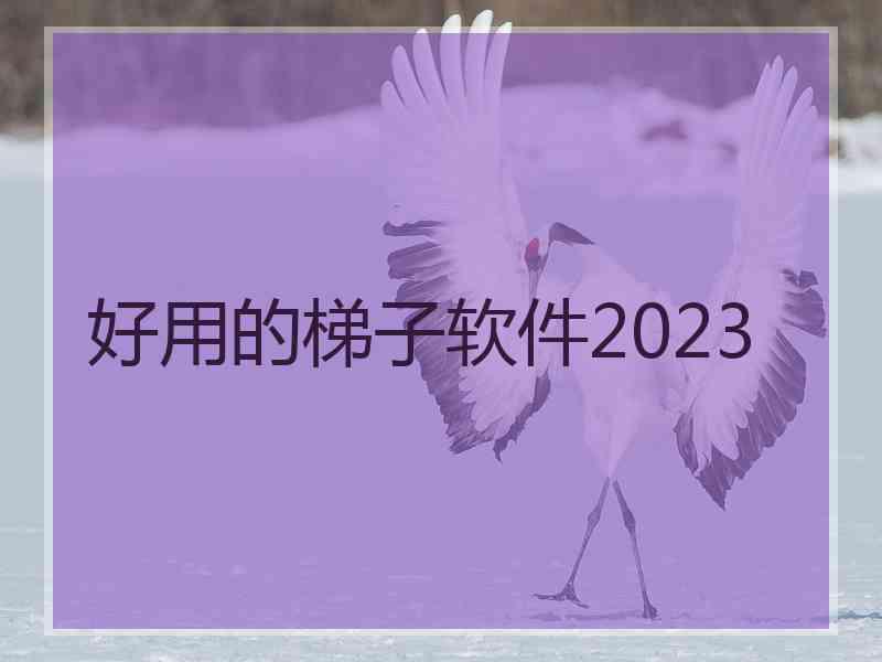 好用的梯子软件2023