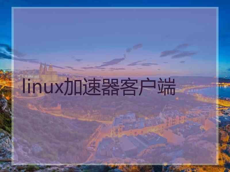 linux加速器客户端