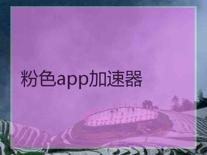 粉色app加速器