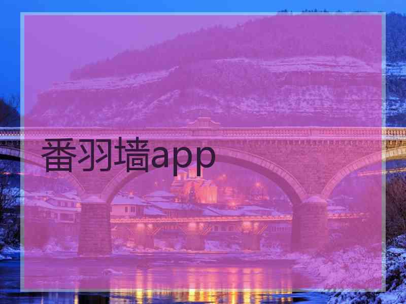 番羽墙app