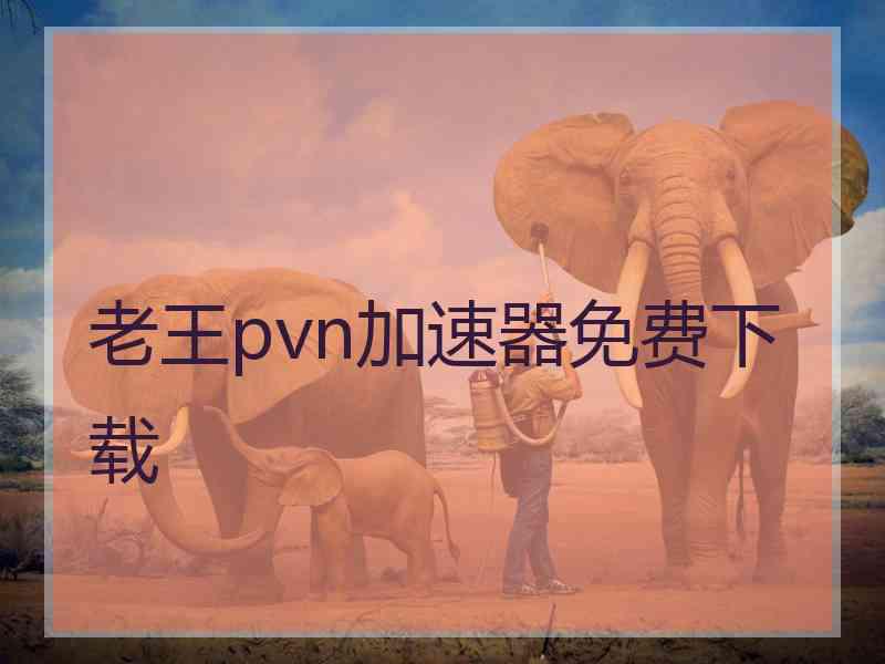 老王pvn加速器免费下载