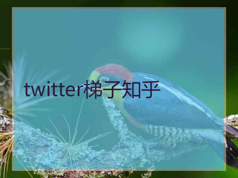 twitter梯子知乎