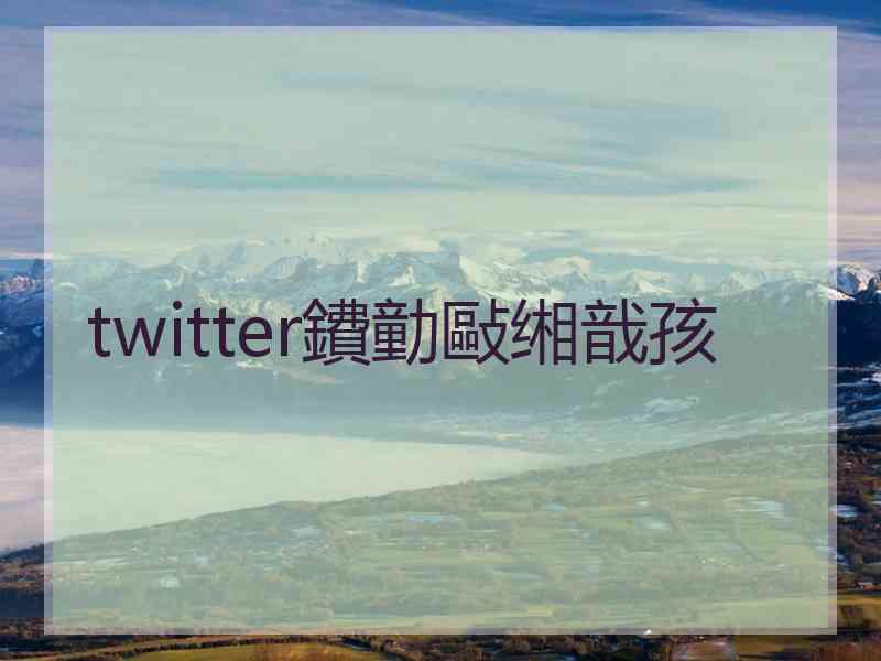 twitter鐨勭敺缃戠孩 twitter鐨勭敺缃戠孩