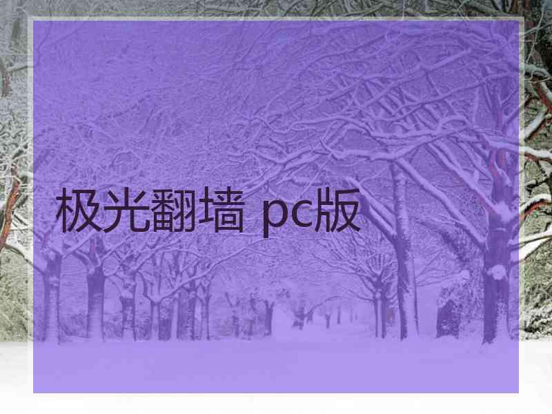 极光翻墙 pc版