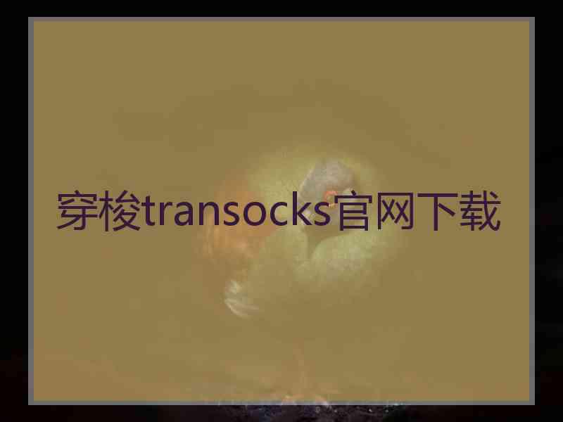 穿梭transocks官网下载