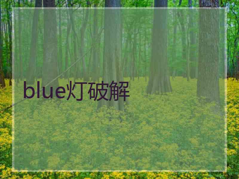 blue灯破解