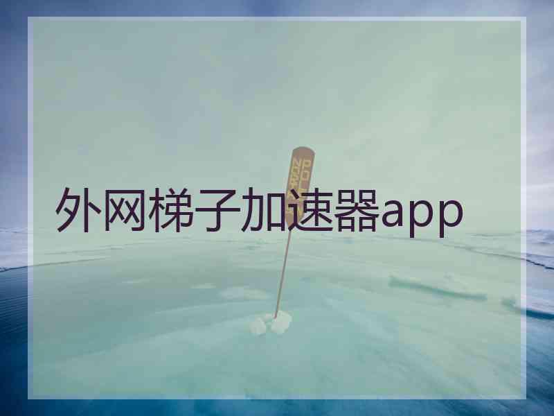 外网梯子加速器app