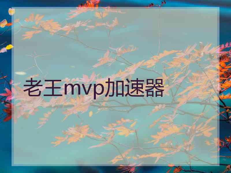 老王mvp加速器