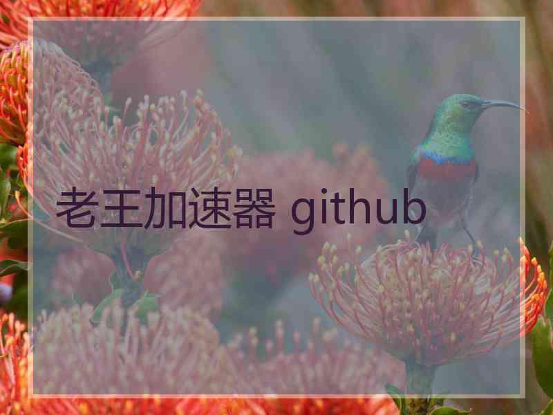 老王加速器 github