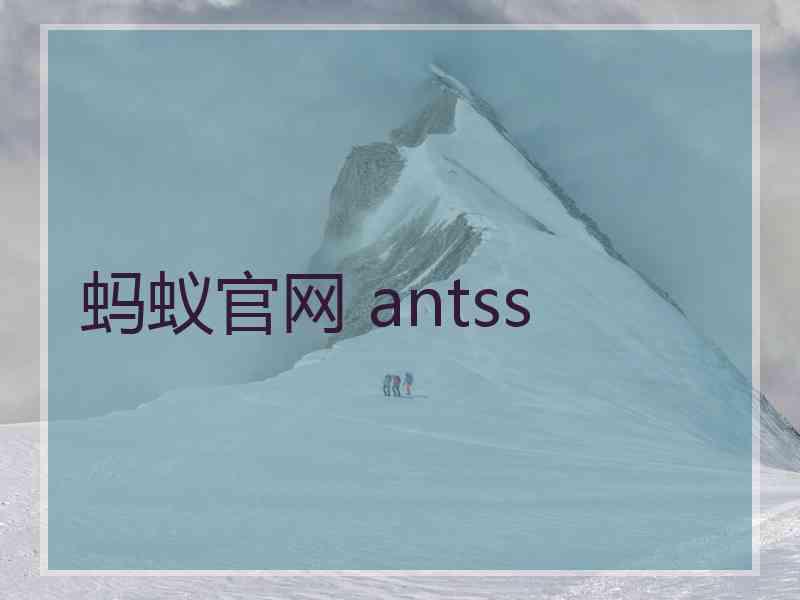 蚂蚁官网 antss