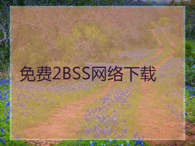 免费2BSS网络下载