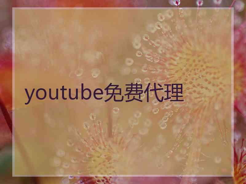 youtube免费代理