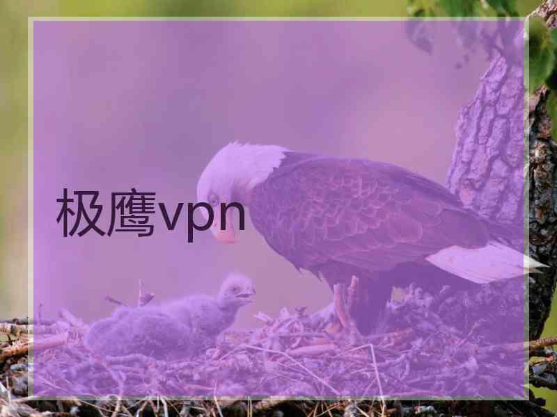 极鹰vpn