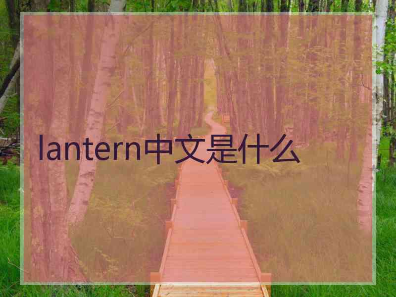 lantern中文是什么