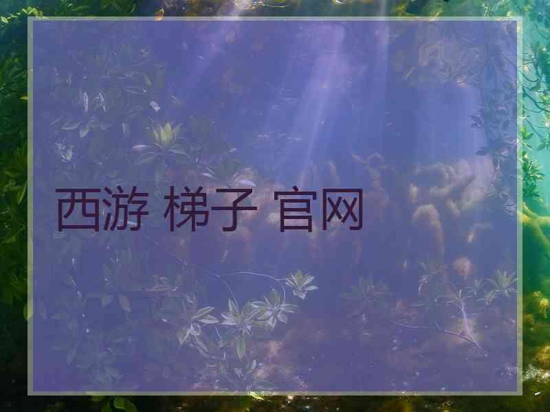 西游 梯子 官网