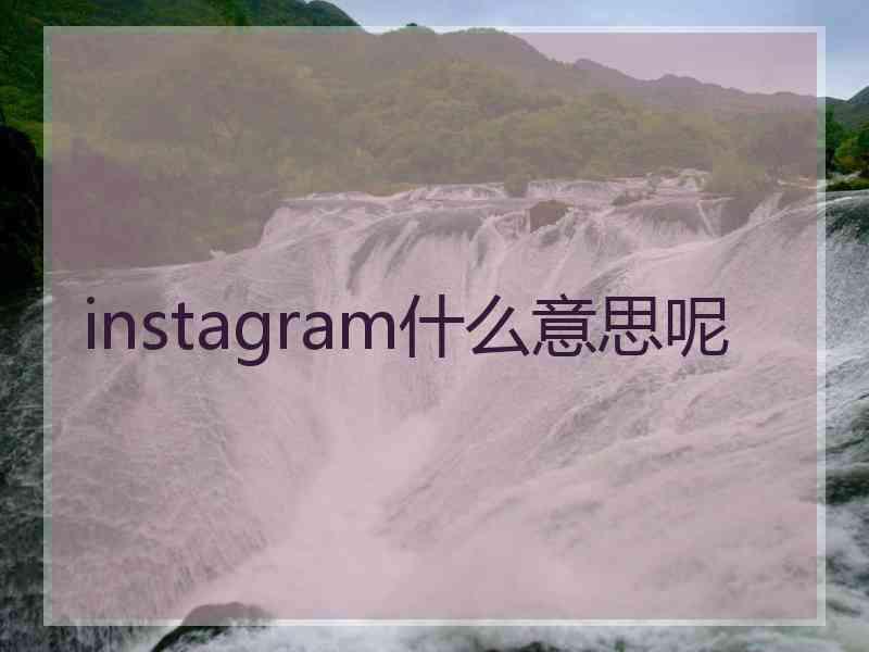 instagram什么意思呢