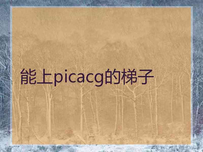 能上picacg的梯子